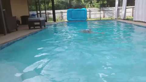 Media: A photograph of a turquoise inflatable water slide in a backyard pool, with a person floating in the pool. The background includes a patio with furniture, a white fence, and lush green trees.