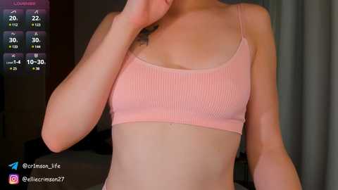 Media: A photograph of a slender woman with fair skin, wearing a light pink ribbed crop top, her left hand touching her face. Background includes a gray curtain and a digital display showing 20:22, 22/12/30.