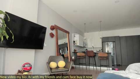 Media: Video of a modern, minimalist living room with a flat-screen TV, wooden mirror, yellow chair, and grey couch; background features a sleek, grey kitchen with bar stools.