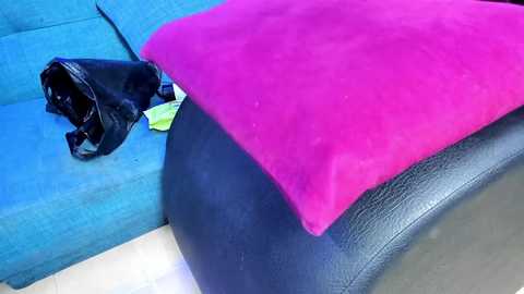 Media: A video of a bright pink blanket covering a black car seat with a black jacket and a green leafy plant nearby. The background shows a blue couch.