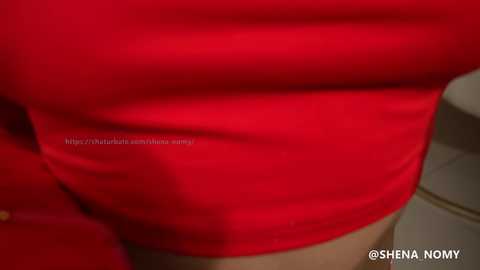 Media: Video of a woman's midsection in a bright red dress, showcasing smooth fabric texture and a subtle shadow effect. Watermark \"http://www.shenaworkout.com\" visible.