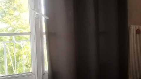 Media: Video of a partially open window with white frames, revealing a lush green garden outside. A black curtain partially covers the window, casting soft shadows. A white radiator is visible on the right wall.