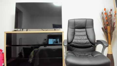 Media: Video of a modern office setup: black leather executive chair, wooden TV stand with flat-screen TV, and decorative vase with orange and red flowers.