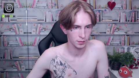 Media: Video of a fair-skinned, shirtless young man with light brown hair, sitting in a black office chair, facing the camera. Background features a bookshelf filled with various books and decor items.