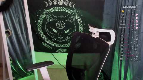 Media: A video of a black cat hooded sweatshirt on a chair in a dark room with a green glow, featuring a pentagram and witch symbols on a black tapestry behind.