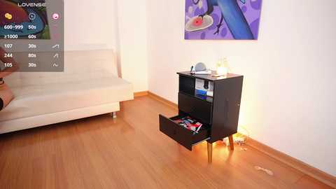 Media: Video of a minimalist bedroom with a white sofa, a black bookshelf with a drawer open, wooden floor, and a colorful flower painting on the wall.