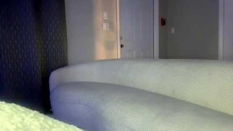 Media: Video of a modern living room with a curved, light grey sofa, textured dark grey wall, white door, and beige carpet.