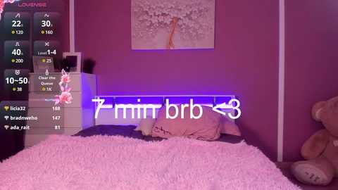 Media: Video of a cozy, pink-themed bedroom with a fluffy rug, teddy bear, and a cherry blossom wall art. Digital overlays display \"immmrb3\" and camera settings.