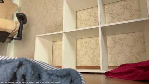 Media: Video of a beige room with white storage shelves, featuring light floral wallpaper. A blue and white striped blanket and red cloth lie on the wooden floor.