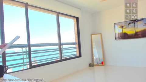 Media: Video of a modern, minimalist room with large windows overlooking a clear blue ocean, a mirror, and a framed picture on a white wall.