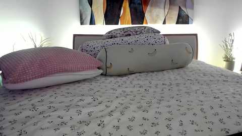 Media: Video of a neatly made bed with a light gray quilt featuring small floral patterns. Pillows include a pink quilted one, a white one, and a rolled-up, worn beige pillow. Background shows a modern abstract painting and a potted plant.