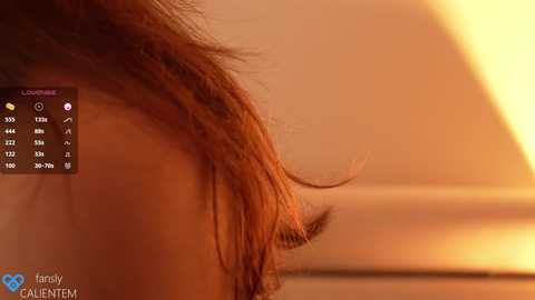 Media: A close-up video showing the side profile of a person with shoulder-length, reddish-brown hair, bathed in warm, golden light. The background is blurred, highlighting the hair's texture and movement.