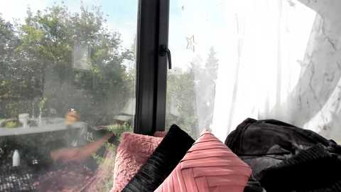 Media: A video of a sunlit window with white lace curtains and black and pink pillows, revealing a lush green garden outside.