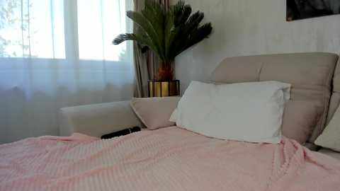 Media: Video of a minimalist bedroom with beige headboard, white pillows, pink quilt, potted palm plant, and sheer curtains, creating a serene, cozy atmosphere.