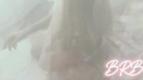 Media: A blurry, ghostly image of a woman in a wedding dress with long, flowing hair, standing in a misty, ethereal setting. The image has a soft, dreamy quality with a pink \"BB\" watermark in the bottom right.