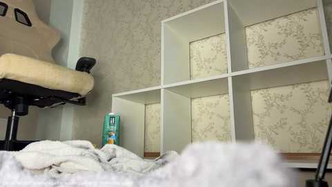 Media: A video of a cluttered room with beige patterned wallpaper, a white shelving unit, a cream chair, a rolled-up rug, and a cleaning product on the floor.