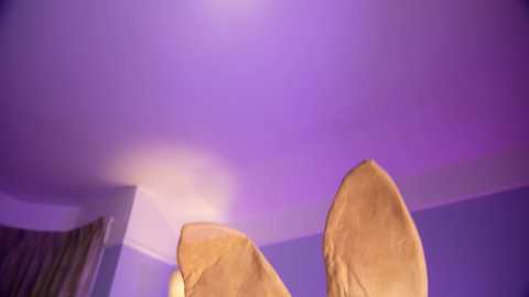 Media: A video capturing a purple-lit room with a ceiling fan in motion, partially covered by sheer curtains. The background includes a white wall and a beige floor.