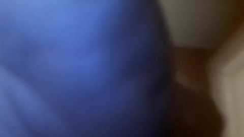 Media: A blurred video with indistinct figures, likely in a dimly lit room, features a blue and brown color palette, with soft, indistinct shapes suggesting human forms.