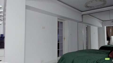 Media: Video of a minimalist, modern bedroom with white walls, a green bedspread, and white-framed French doors with glass panes leading to a bathroom. The ceiling has a decorative light fixture.