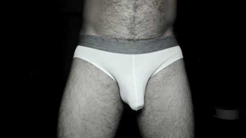 Media: A close-up video of a man's lower torso, wearing snug, white briefs with a gray elastic waistband, highlighting his erect, protruding penis through the fabric. The background is dark, emphasizing the light fabric.