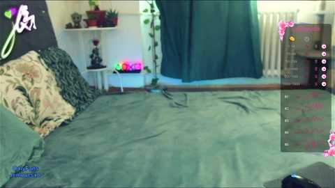 Media: A video of a messy bedroom with a green bedspread, potted plants, and a wall-mounted radiator.