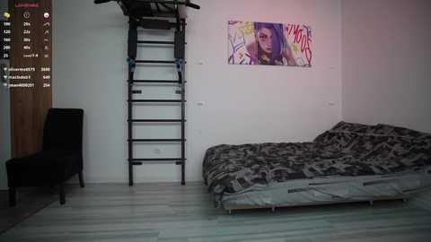 Media: A video of a minimalistic bedroom with a bed covered in camouflage sheets, a black chair, a tall ladder, and a vibrant abstract painting on the wall.