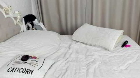 Media: A video of a neatly made bed with white bedding, featuring a plush cat pillow and a pink vibrator on a cream-colored headboard. The background has beige curtains.