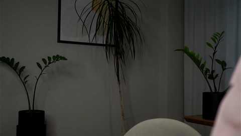 Media: A dimly lit video of an office interior with two tall potted plants, one fern and one tall, thin plant, and a white chair.