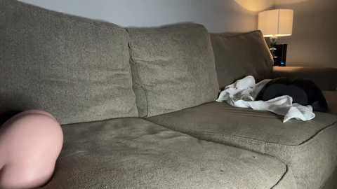 Media: A video of a beige fabric sofa with a person lying on it, wearing a white shirt and black pants, partially covered by a gray blanket. A beige lamp with a white shade is on a side table in the background.