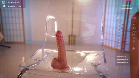 Media: A video of a clear, acrylic shower stall with a red, erect penis inside, water running down. Background shows a traditional Japanese room with shoji screens and a wooden floor.