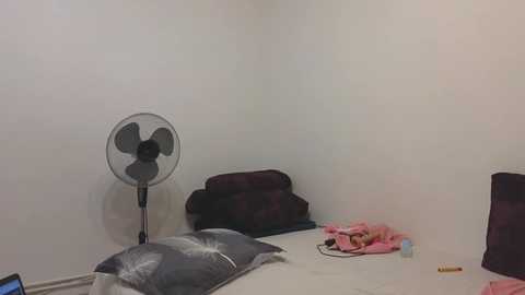 Media: Video of a small, bare room with white walls. A black fan stands against the wall, and a dark brown cushion lies on the floor. A pink bag and scattered items are nearby.