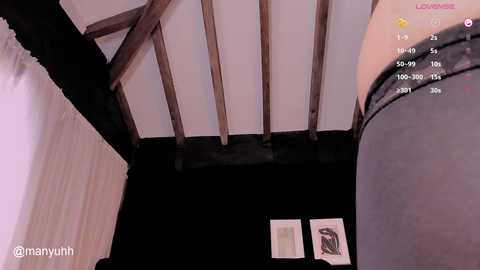 Media: A video of a low ceiling with exposed wooden beams, black walls, and two framed artworks. The image is taken from a first-person perspective, with the watermark \"@manyuh\" visible in the bottom left.