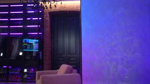 Media: Video of a dimly lit room with purple neon lights, a brick wall, a flat-screen TV, and a beige armchair; the background is blurred, focusing on the chair and door.