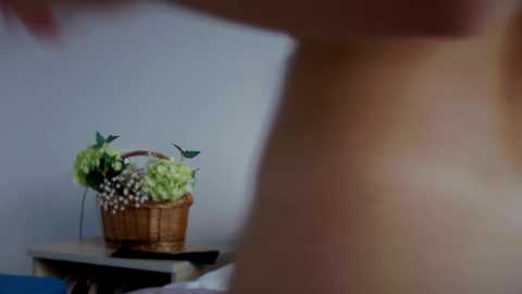 Media: Video of a nude, fair-skinned individual with a small, light brown wicker basket containing green hydrangeas and white baby's breath flowers, resting on a blue and white tiled surface.