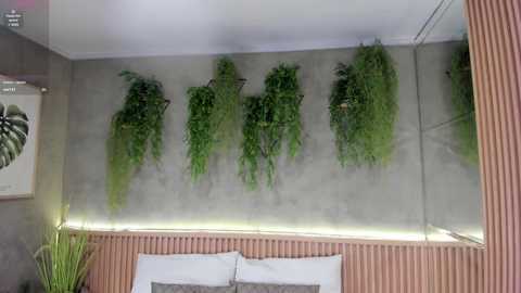 Media: Video of a modern bedroom featuring a gray concrete wall with five hanging ferns, a wooden headboard, and a minimalist white bed with white pillows.