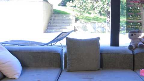 Media: Video of a modern, sunlit living room with a beige sofa, cushion, and wicker chair. A stuffed animal sits on the sofa, and large glass windows reveal a lush garden and stone steps outside.