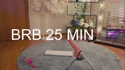 Media: Video of a cozy room with a grey rug, a pink hairdryer, a white laptop, a pink hair clip, and a white dress mannequin with a floral arrangement.