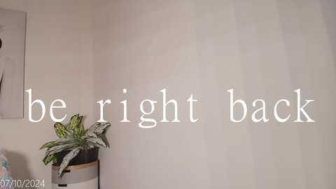 Media: Video of a beige wall with a potted plant featuring green and white variegated leaves, partially covered by white text overlaying the phrase \"be right back.\