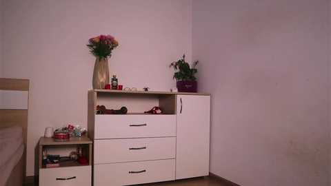 Media: Video of a minimalist, white-furnished corner of a bedroom with a vase of flowers, a potted plant, and a small child's toy box.