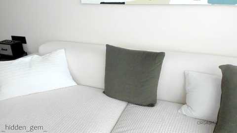 Media: A minimalist bedroom video featuring a white sofa with two pillows: a white and a gray, against a plain white wall.