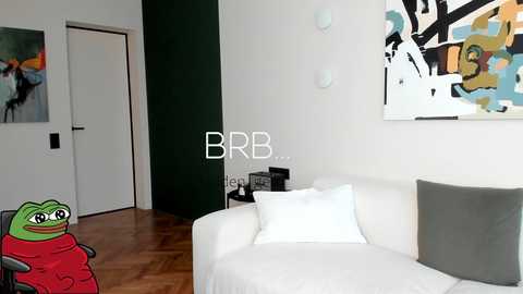 Media: A video of a modern, minimalist living room with a green frog plush toy on a white couch, colorful abstract art on the wall, and a wooden floor.