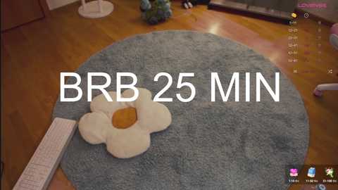 Media: Video of a cozy room with a plush, white flower toy on a light blue rug. Text overlay reads \"BGB 25 MIN.\" Background includes a wooden floor, a white table, and a TV screen.