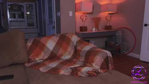 Media: A video of a cozy living room with a plaid blanket draped over a beige couch, warm lighting from lamps, and a large, red exercise ball in the background.