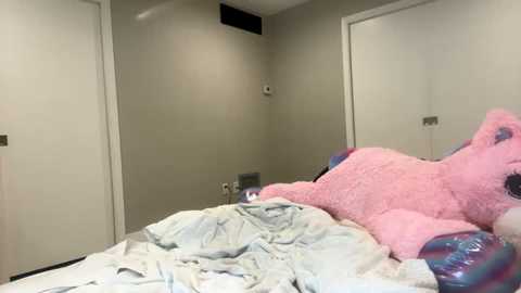 Media: Video of a tidy, beige-walled bedroom with a plush pink teddy bear and blue and white bedding on a bed.