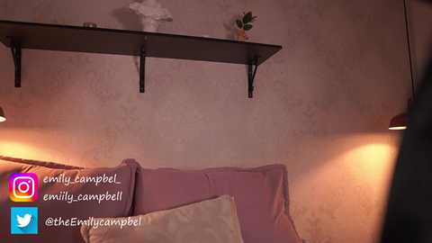 Media: Video of a cozy bedroom with a pink bedspread, soft lighting, a wooden shelf, and a potted plant. Text overlays include \"@TheEmillyCampbell\" and social media icons.