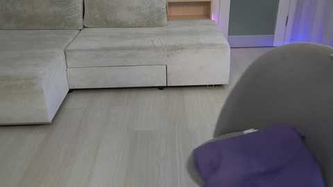 Media: Video of a modern living room with a plush, beige sectional sofa, light wooden floor, and a purple cushion visible on the right. The background features a glass door and soft blue lighting.