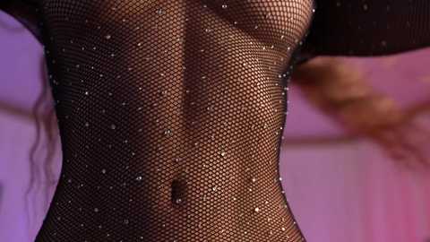 Media: Video of a person wearing a black fishnet bodysuit with sparkling sequins, highlighting the contours of their torso, set against a blurred pink background.