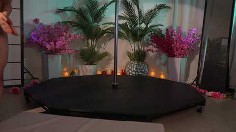 Media: Video of a dark-skinned woman with long hair, nude, dancing on a black trampoline in a dimly lit room with tropical plants, candles, and pink flowers.