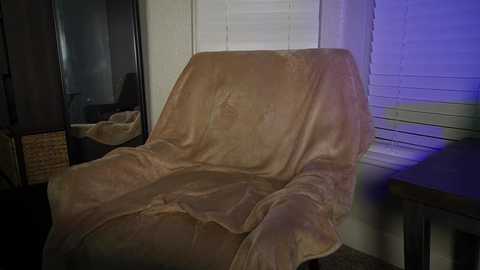 Media: Video of a beige recliner chair covered in a beige blanket, positioned in a dimly lit room with closed white blinds and a wooden table.