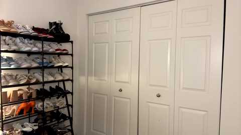 Media: Video of a white, double-door closet with a black shoe rack filled with sneakers and shoes on the left, and a black handbag on top.